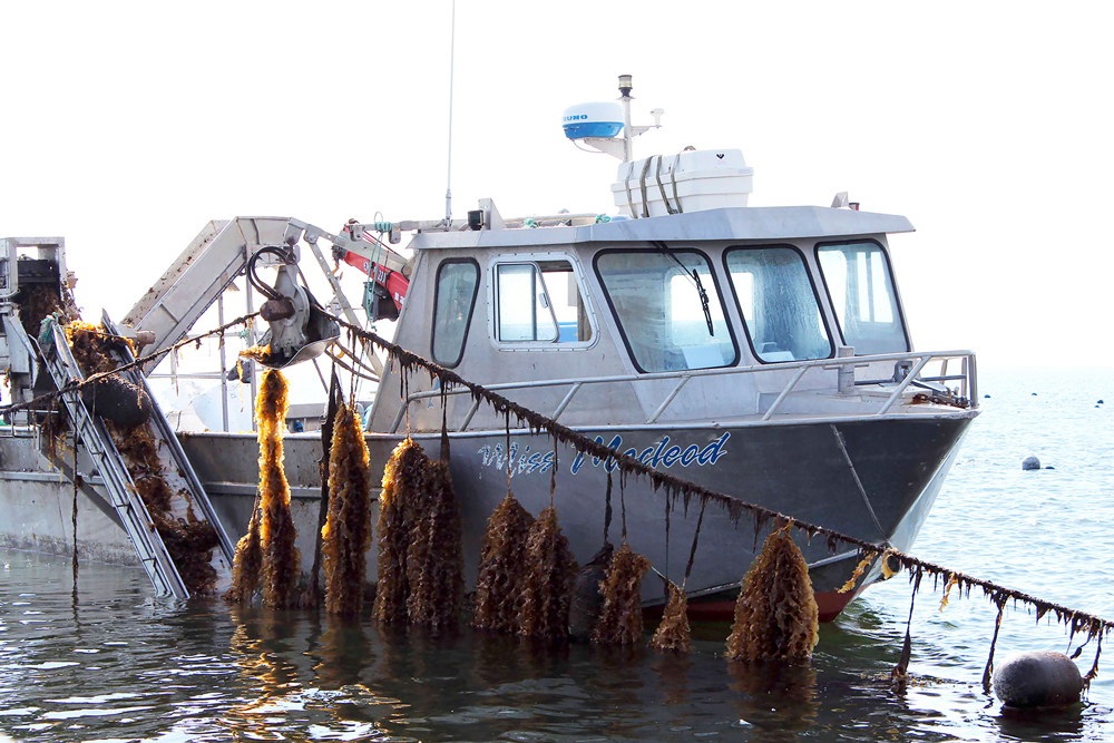 terroir_hostba%cc%8adds_web_1000