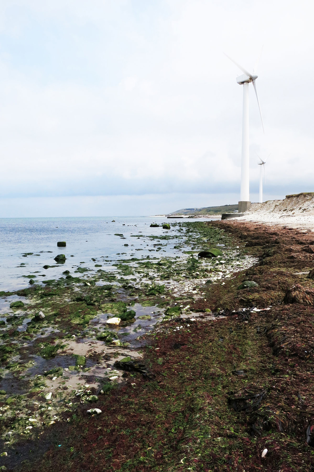 terroir_material_seashorejo_web_1000